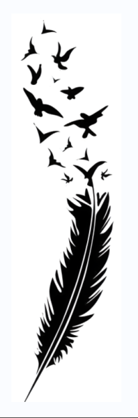 Spider X1’s first laser engraving