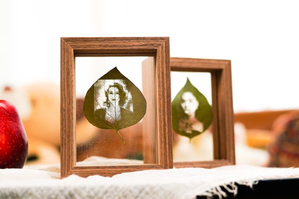 Intricate Leaf Portraits: Spider A1 Laser Engraving Machine Crafts Stunning Character Images on Leaves!