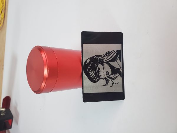 Taylor Swift’s engraved portrait