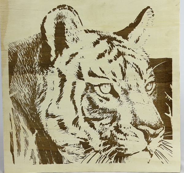Unveiling Majesty: Tiger Engraving by Spider A1 800L
